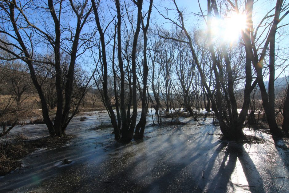Snow on the Land - Photos