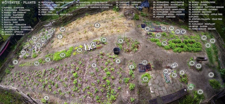 The community garden